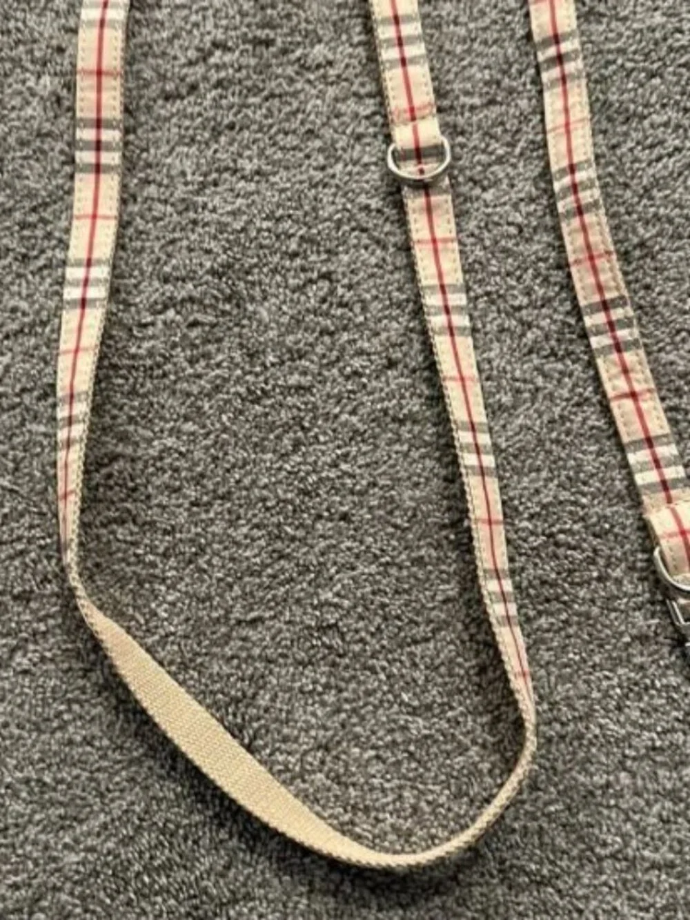 Fashion Dog collar and leash